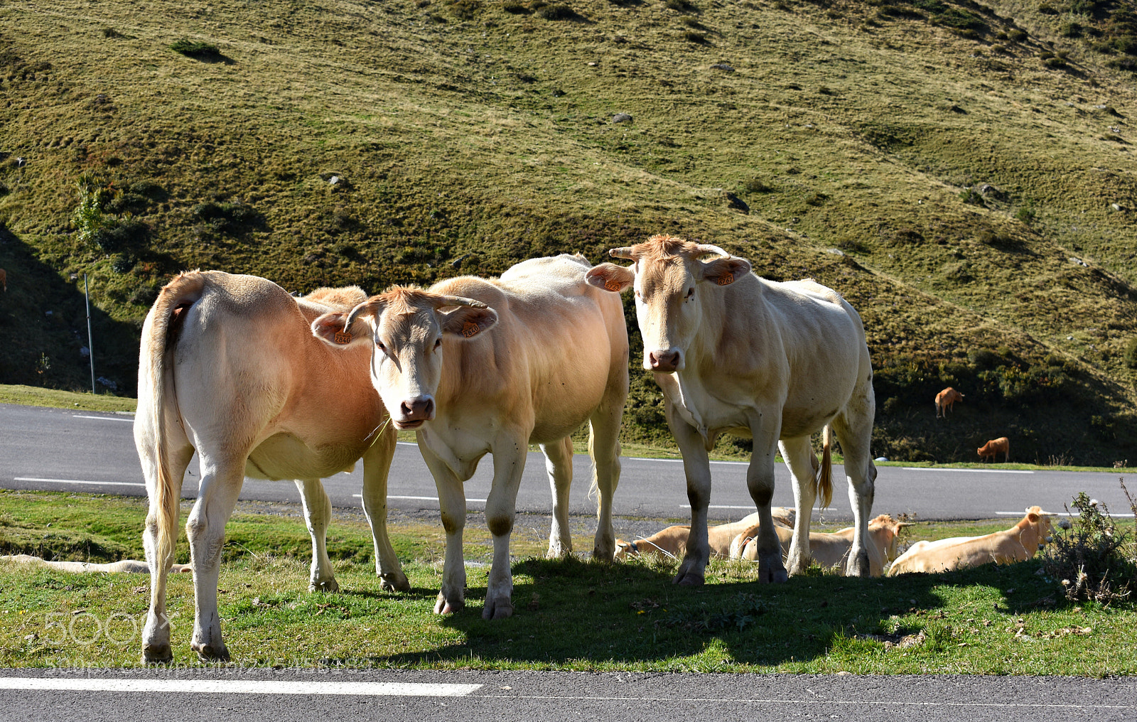 Nikon D3400 sample photo. Pyrénées france photography