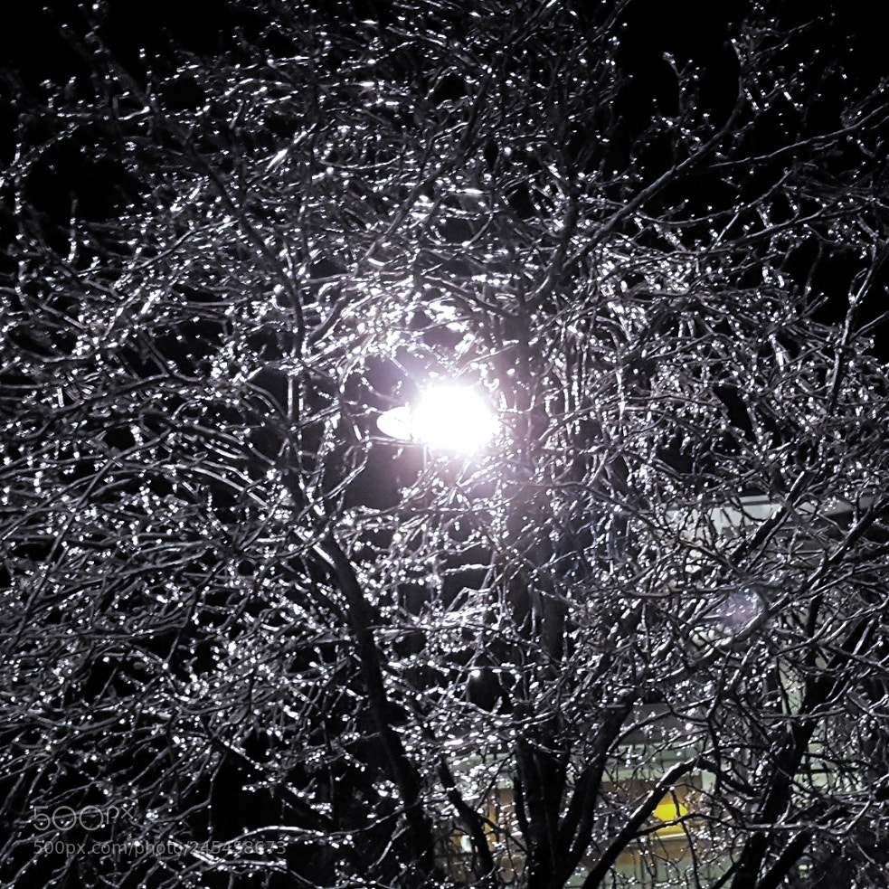 Samsung Galaxy S6 sample photo. Ice coats a tree photography