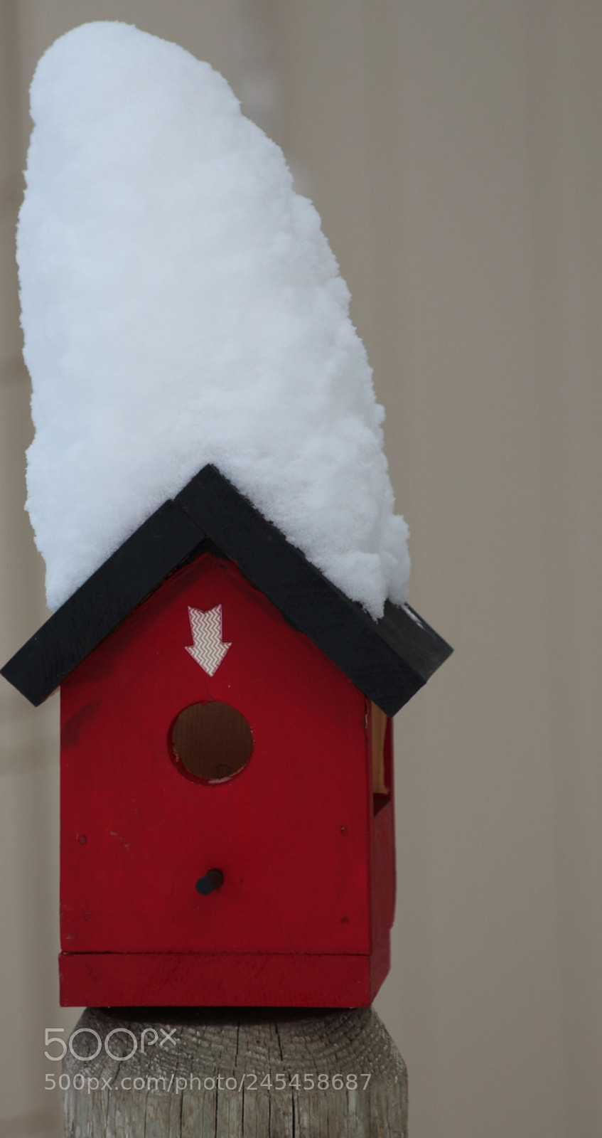 Canon EOS 650D (EOS Rebel T4i / EOS Kiss X6i) sample photo. Snowy bird house photography