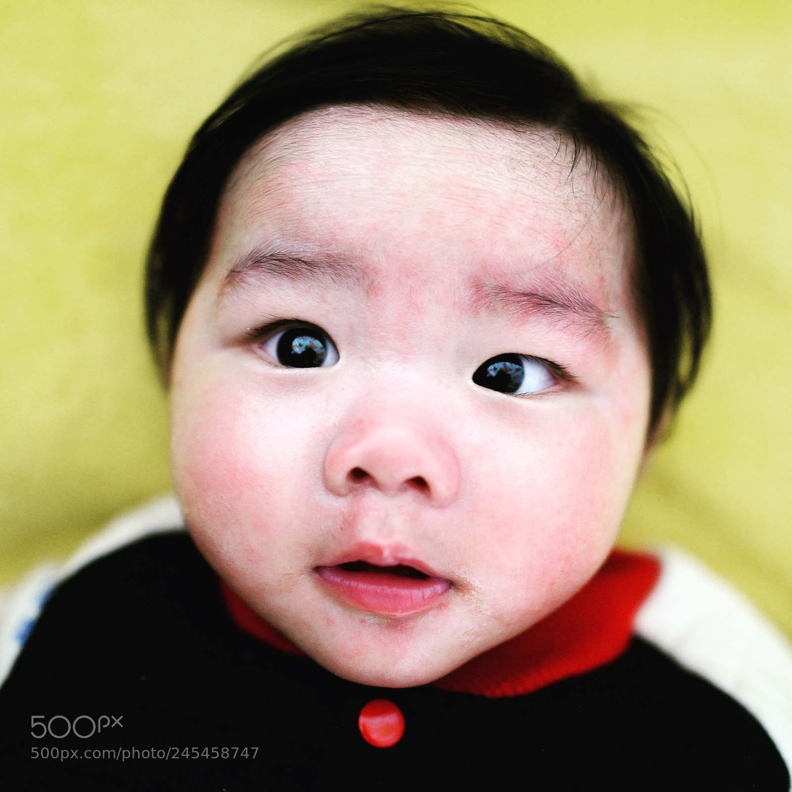 Nikon D800 sample photo. Untitled photography