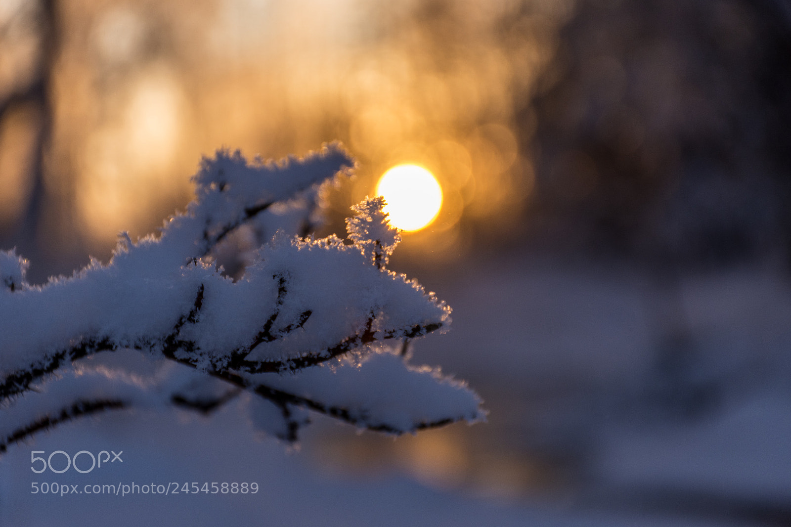 Nikon D7200 sample photo. Winter is beautiful photography