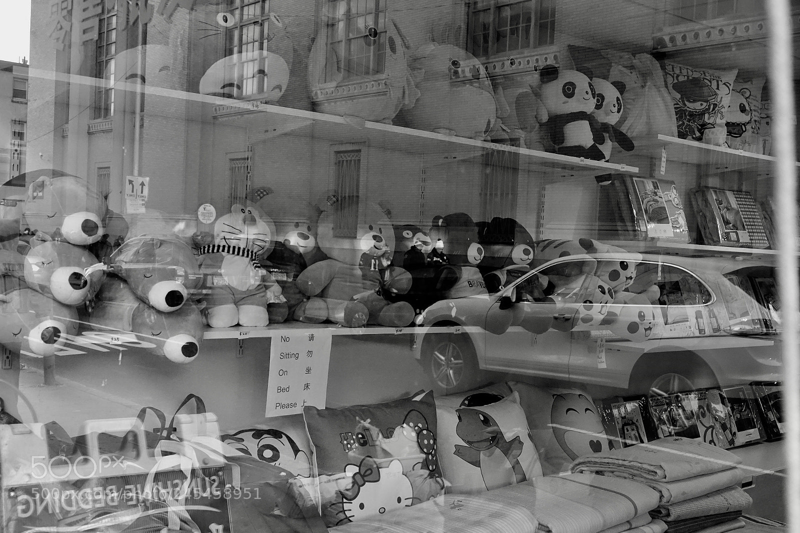 Sony Cyber-shot DSC-RX10 III sample photo. Window to fun and photography