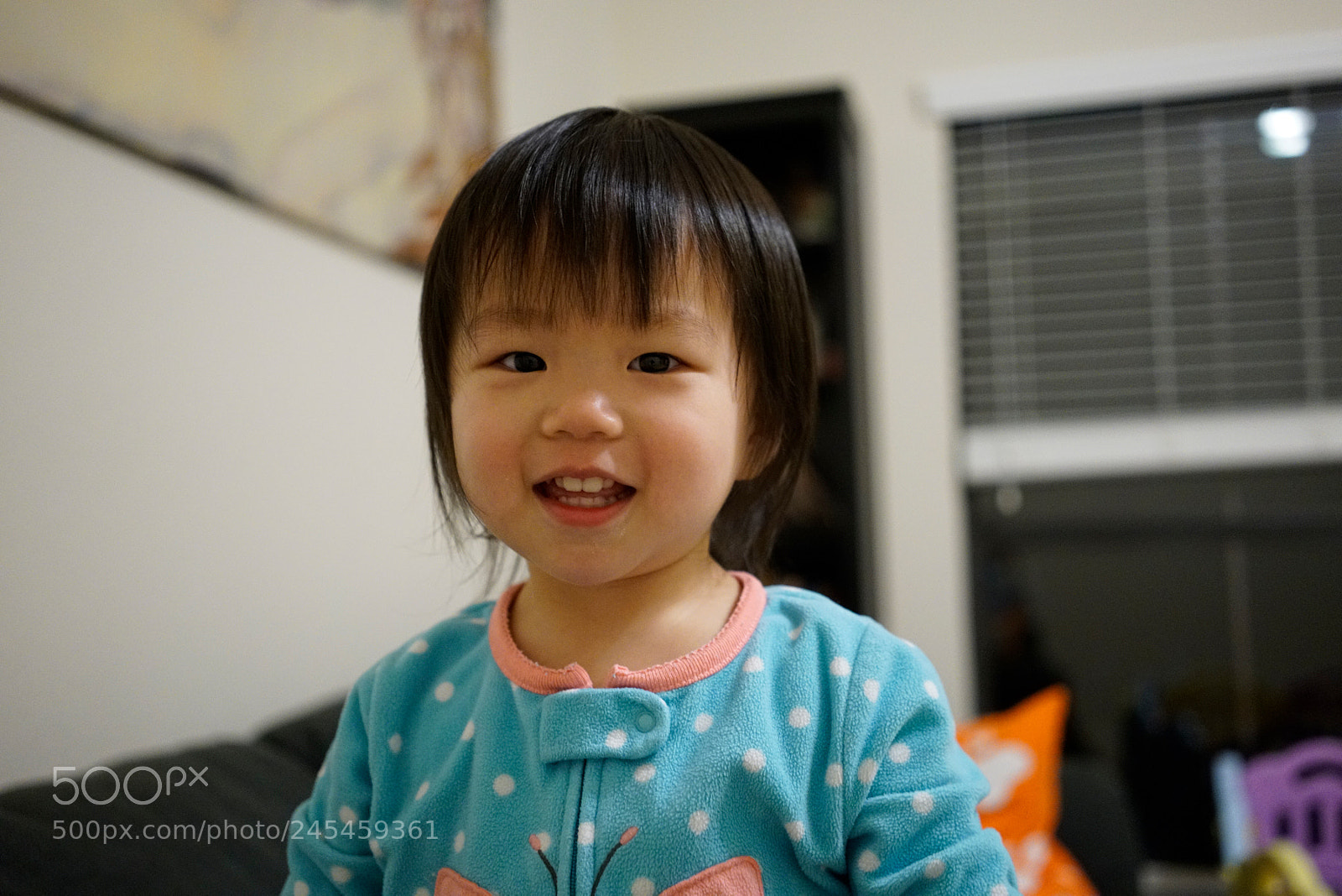 Sony a7R II sample photo. _dsc2916_1.jpg photography