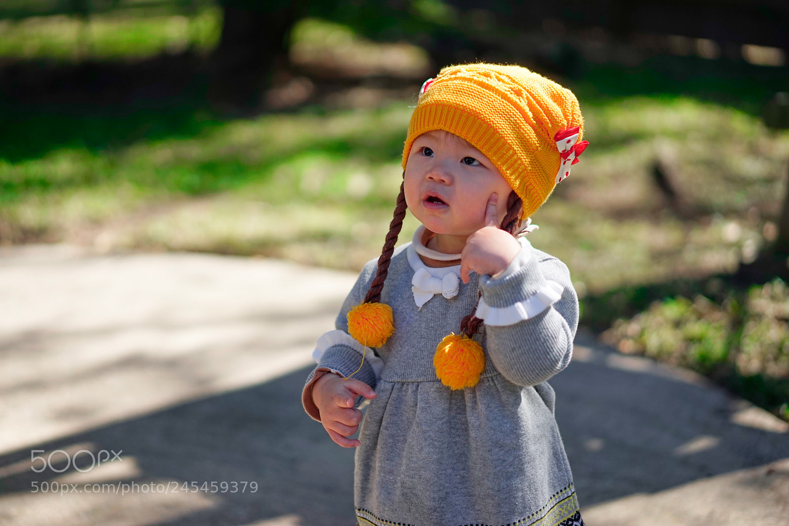 Sony a7 sample photo. _dsc0603-0.jpg photography