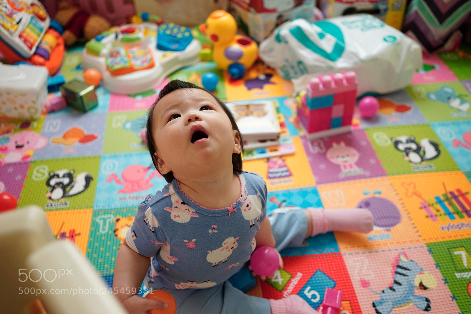 Sony a7 sample photo. Dsc photography