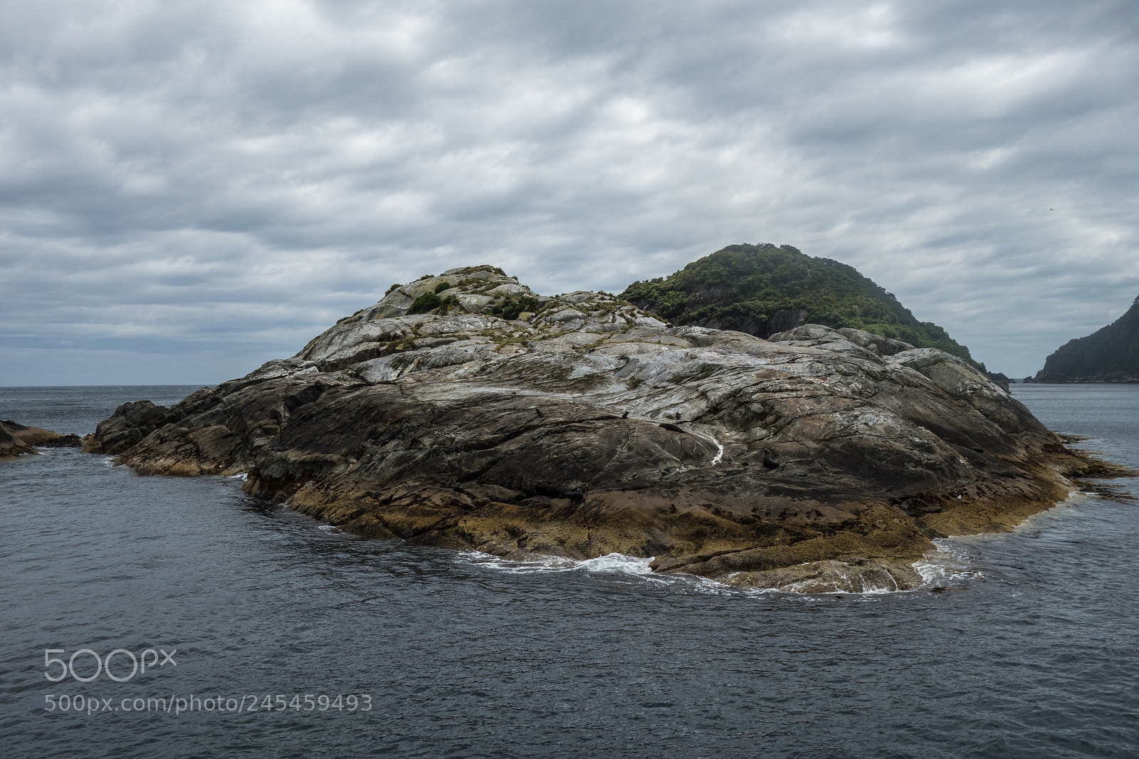 Sony Cyber-shot DSC-RX100 sample photo. Doubful sound seal colony photography