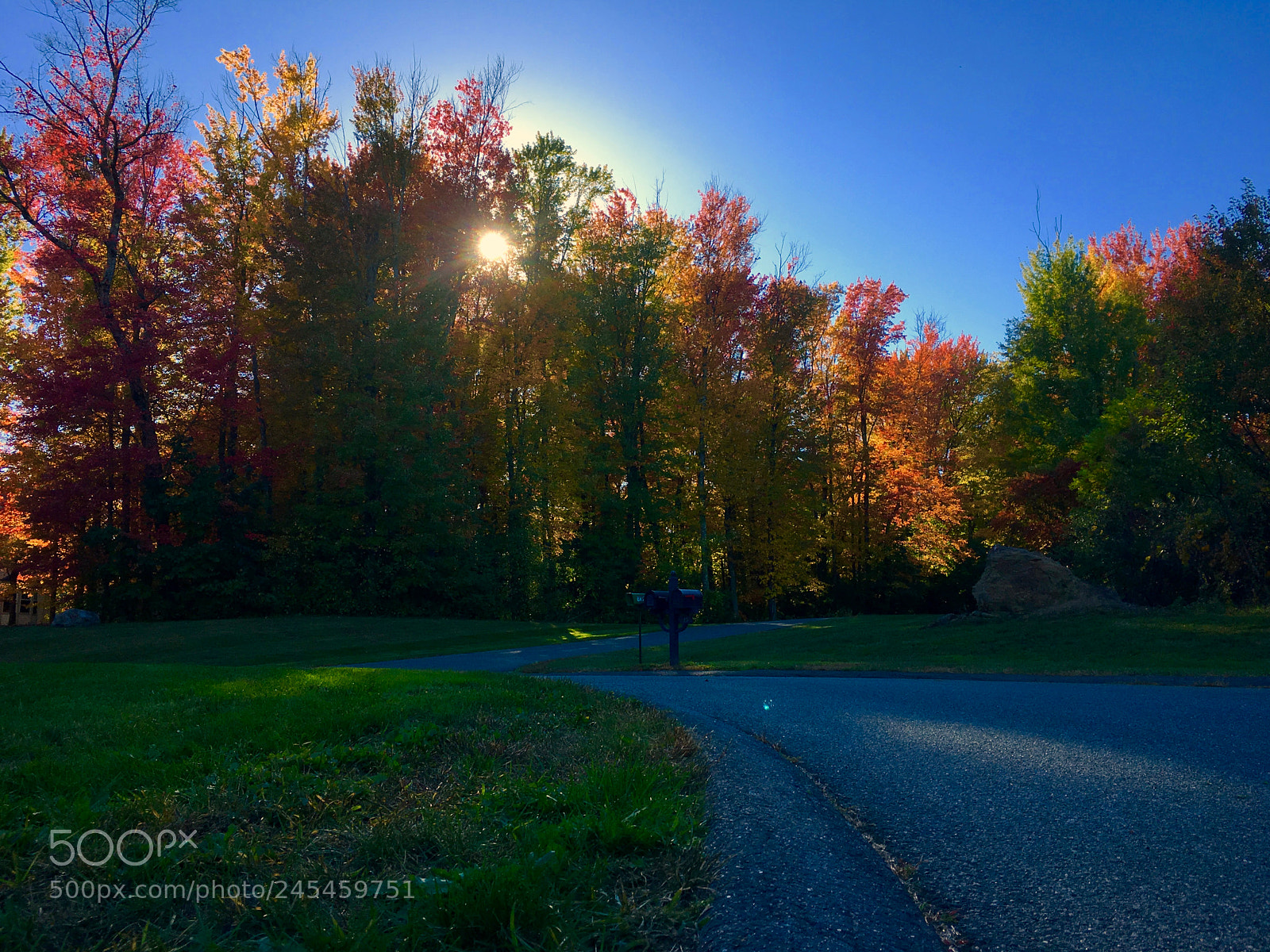 Apple iPhone 6s sample photo. Fall foliage photography
