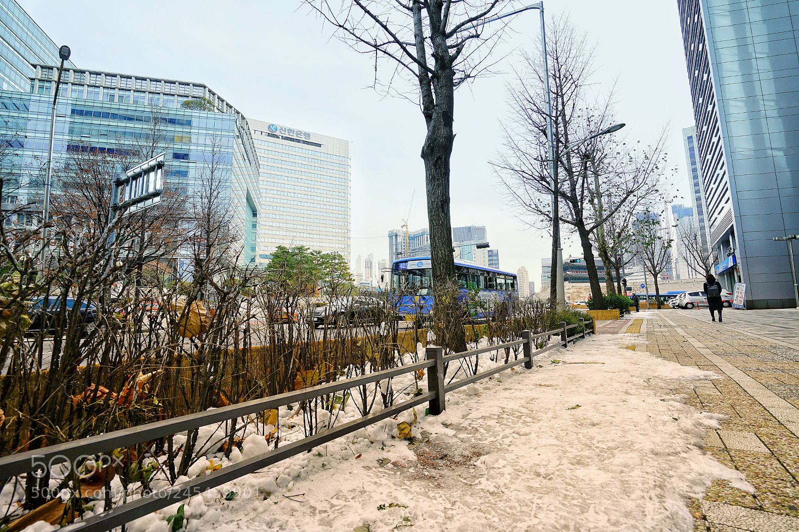 Sony a7 II sample photo. Seoul photography