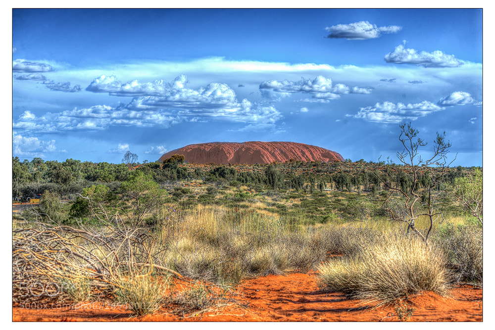 Nikon D610 sample photo. The red centre photography