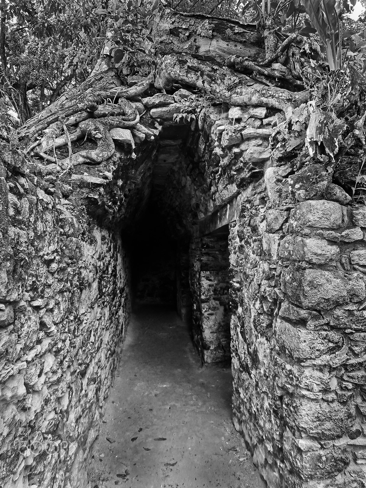 Sony DSC-HX5V sample photo. Kohunlich ruins tunnel photography