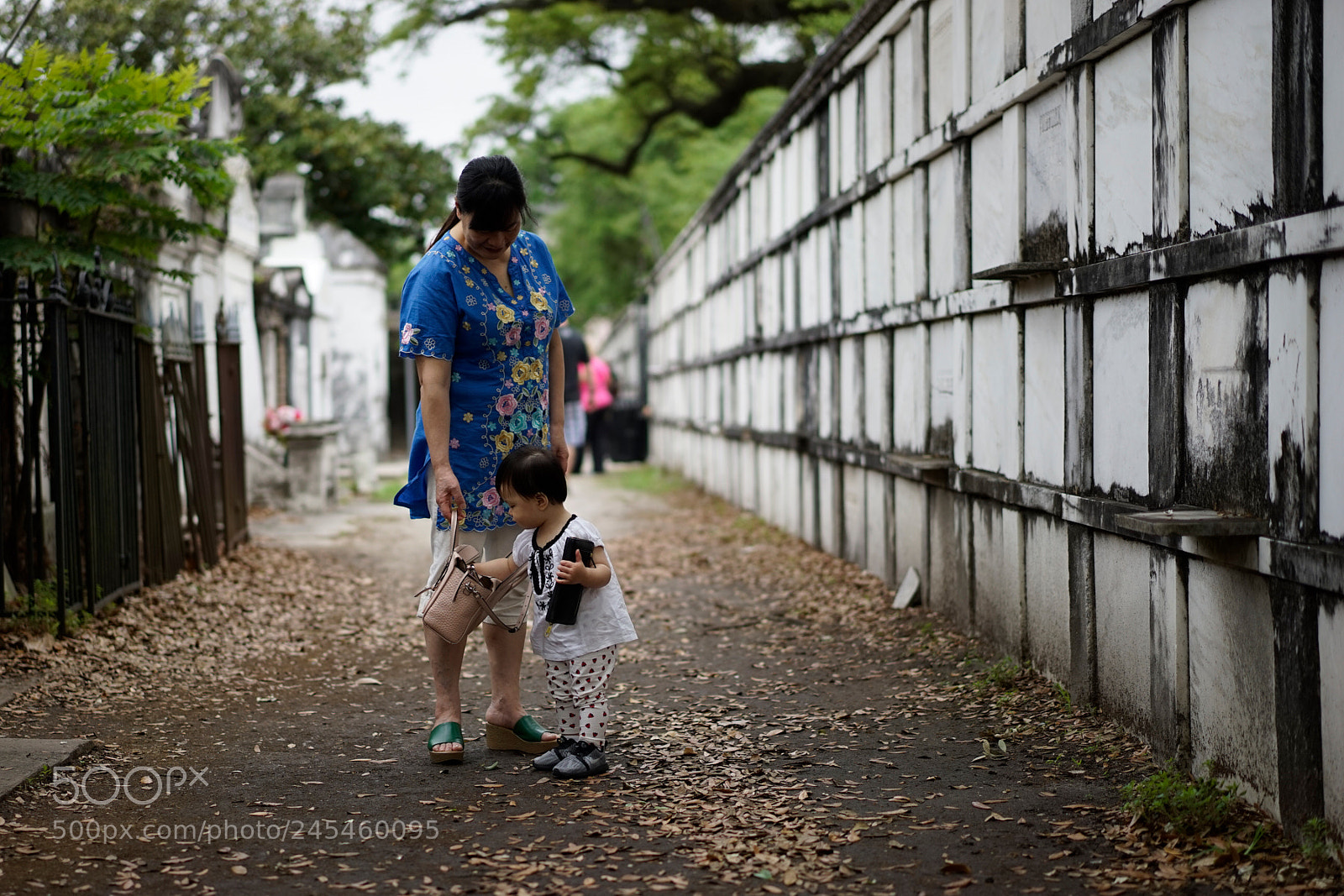 Sony a7 sample photo. Dsc photography
