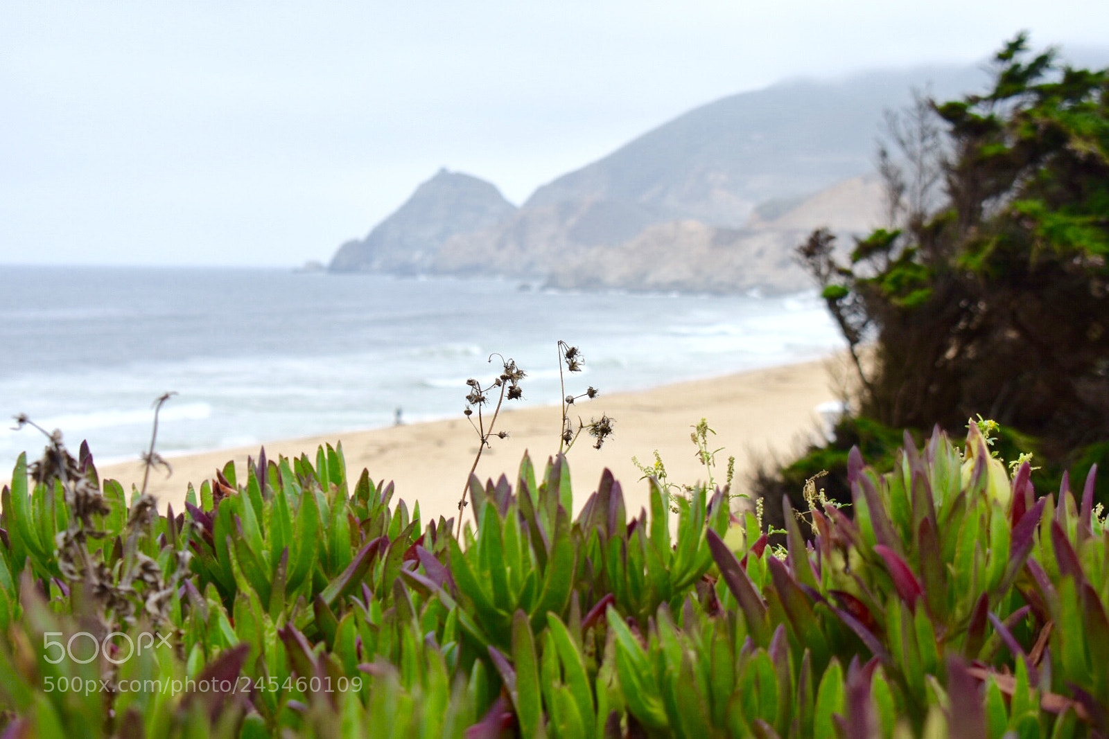 Nikon D3400 sample photo. California coast photography