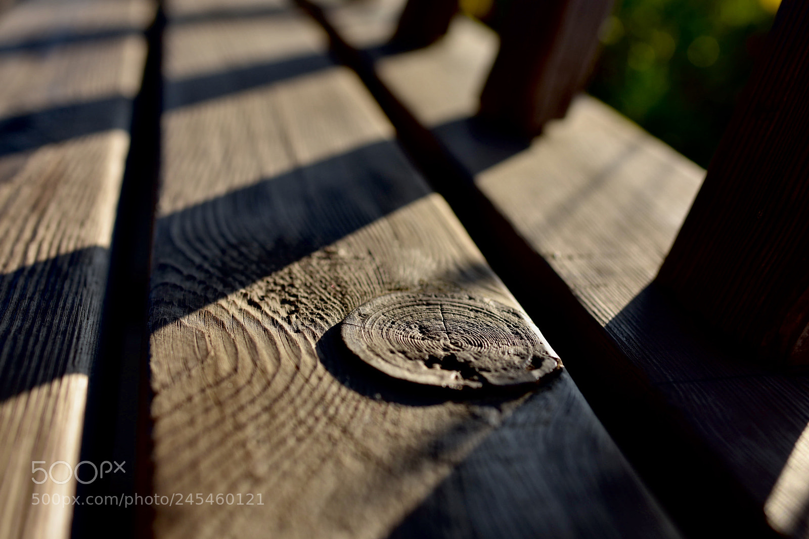 Nikon D7200 sample photo. Memory photography