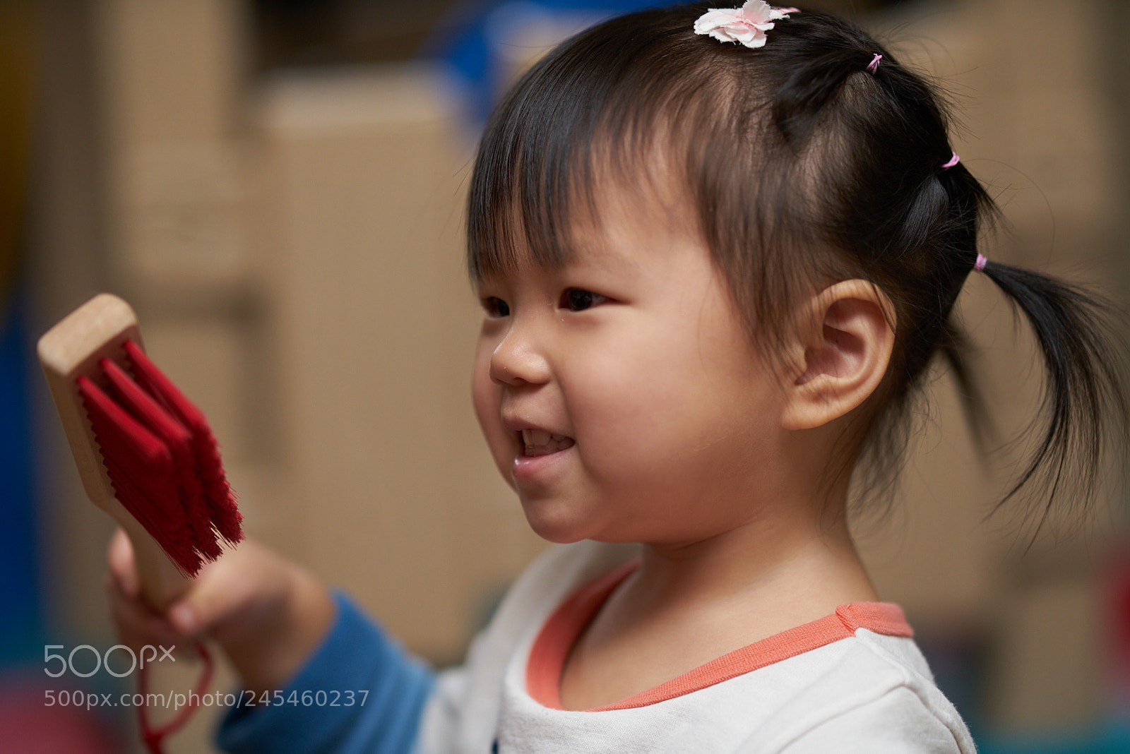 Sony a7R II sample photo. Dsc photography