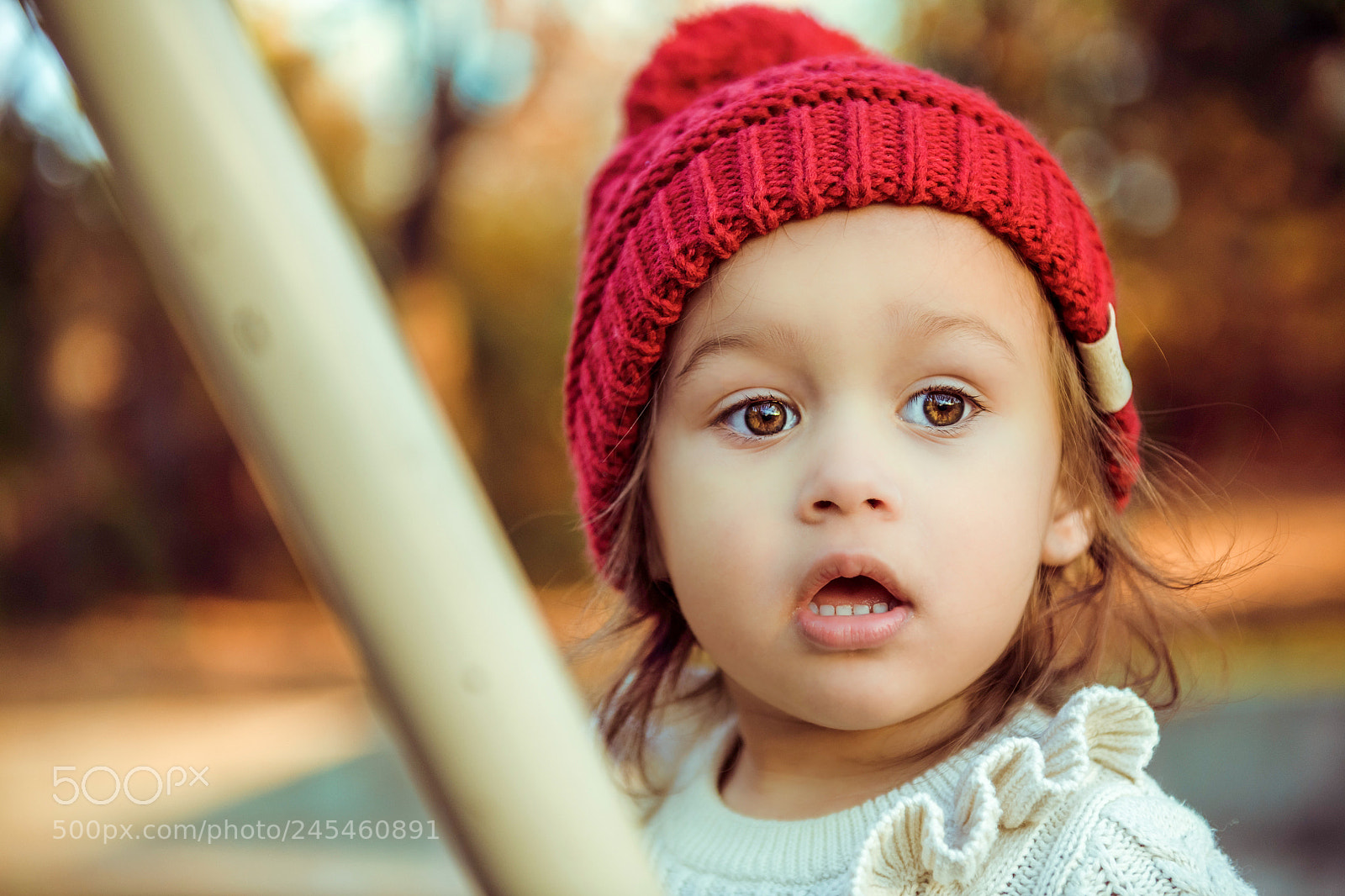 Nikon D850 sample photo. Untitled photography