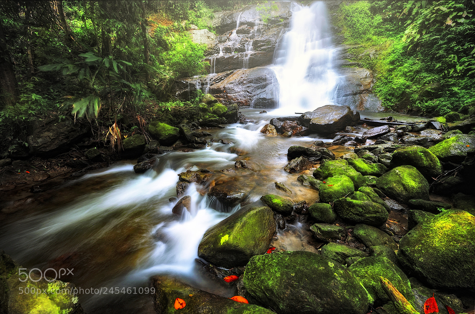 Nikon D700 sample photo. Huay trai leung waterfall photography