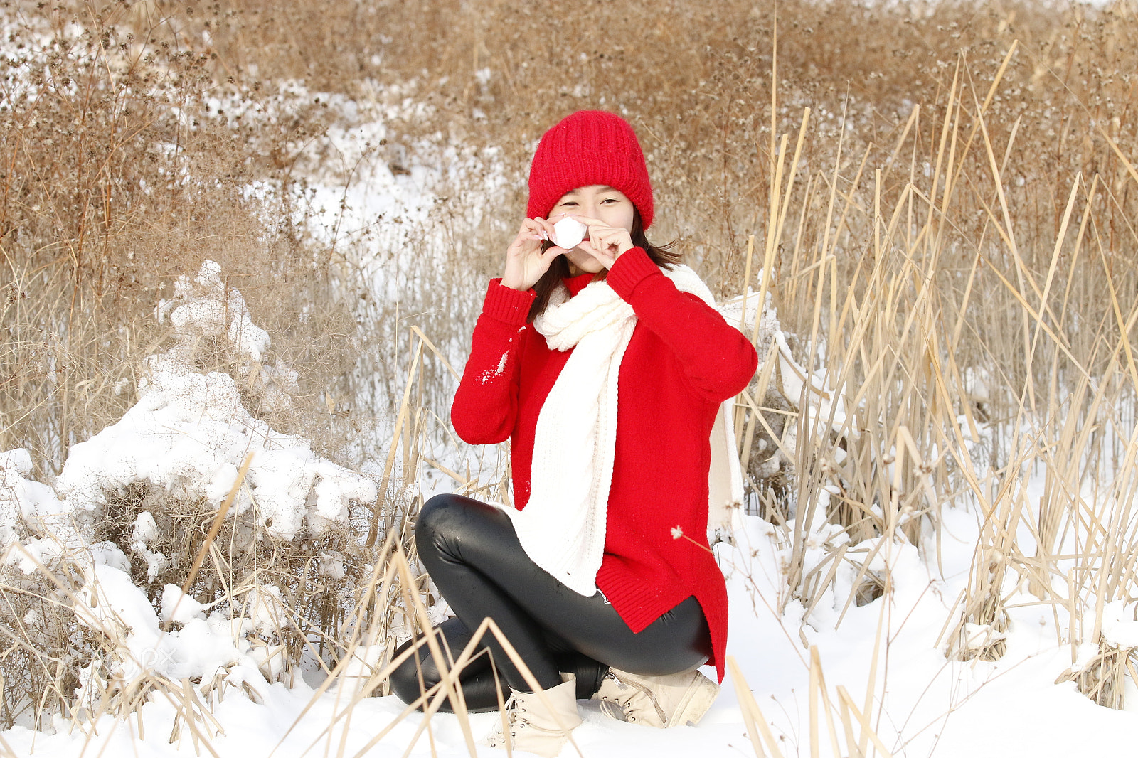 Canon EF 70-200mm F2.8L IS II USM sample photo. Snowball photography