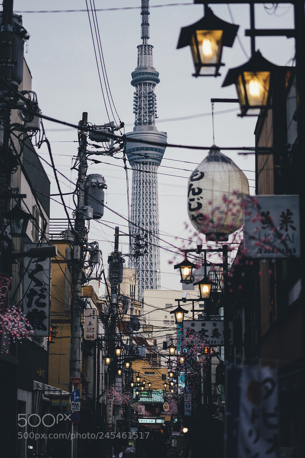 Fujifilm X-T20 sample photo. Contrast photography
