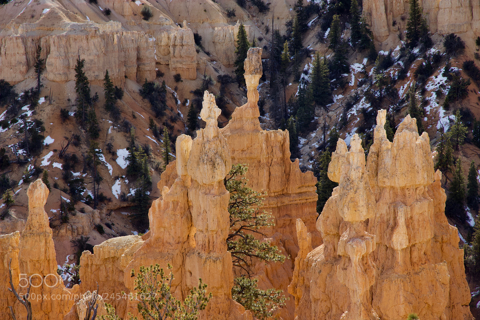 Canon EOS 100D (EOS Rebel SL1 / EOS Kiss X7) sample photo. Curtain of spires photography