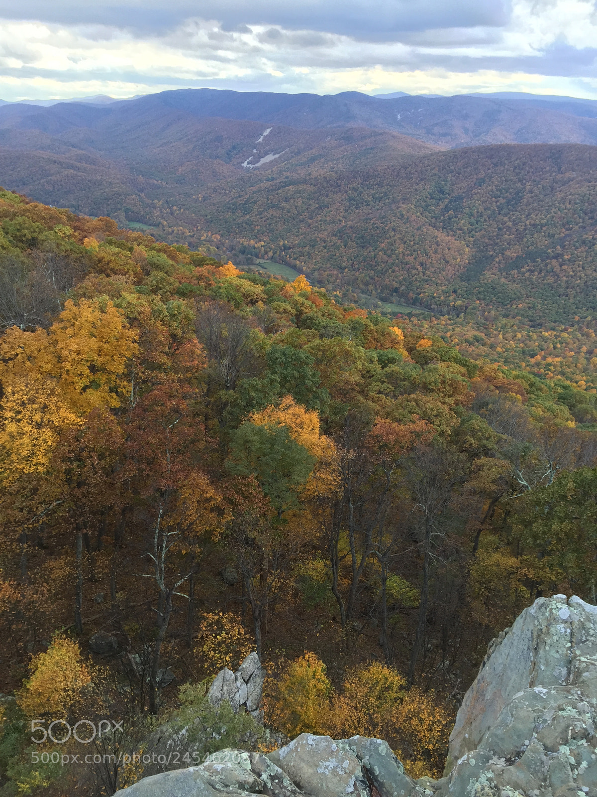 Apple iPhone 6 sample photo. Fall colors in the photography