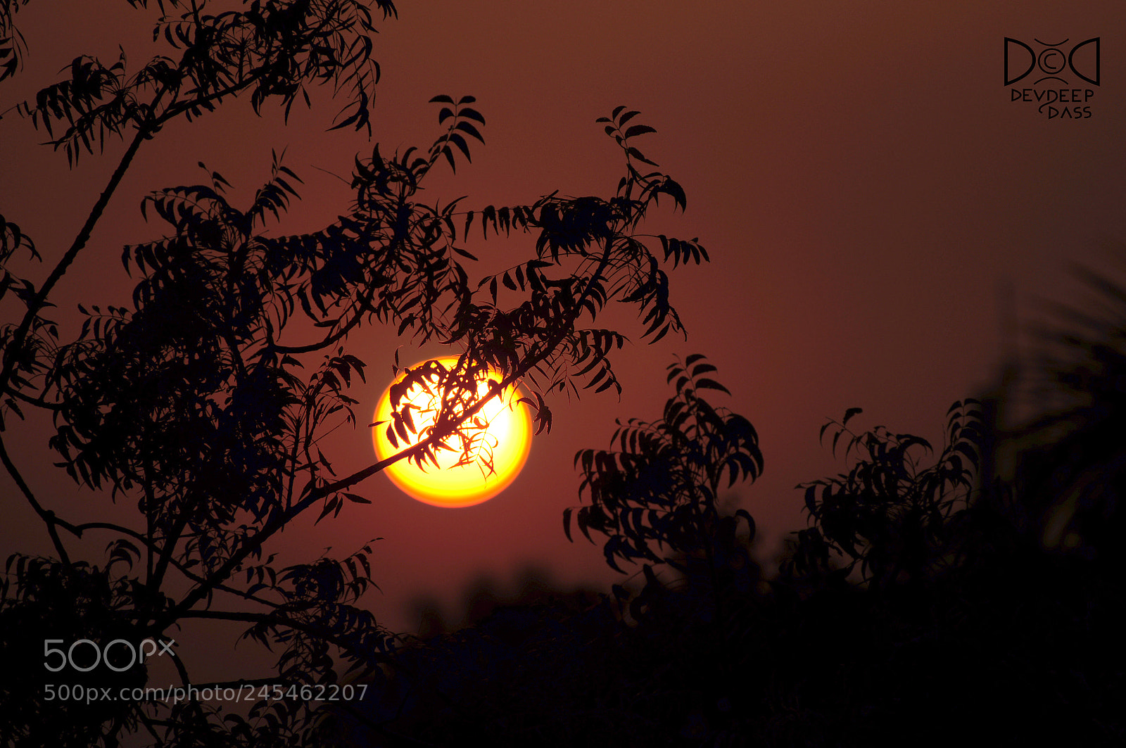 Nikon D90 sample photo. Sunrise photography