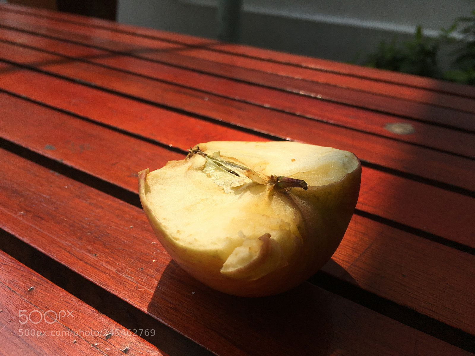 Apple iPhone SE sample photo. Untitled photography
