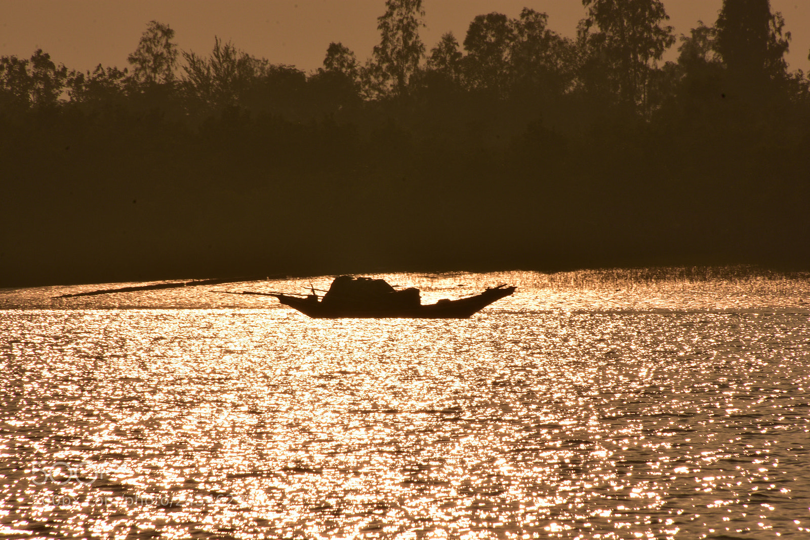 Nikon D7200 sample photo. Sundarbans .... the photography