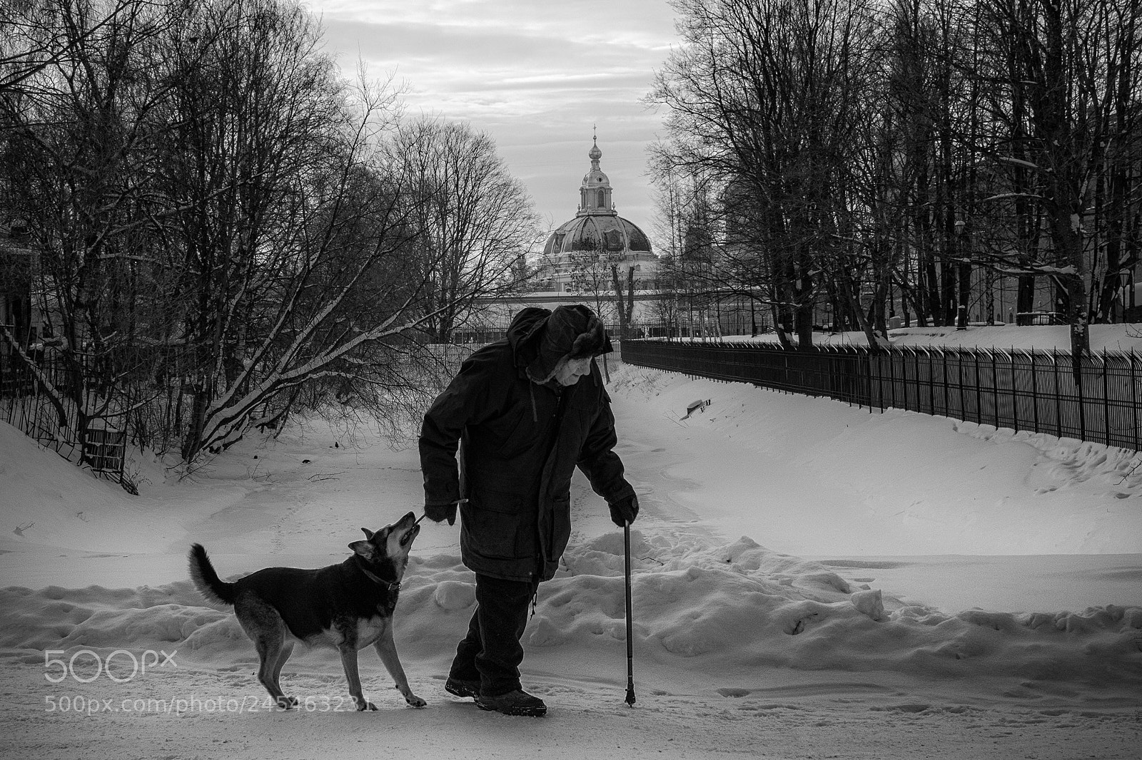 Olympus OM-D E-M1 sample photo. ...and his dog photography