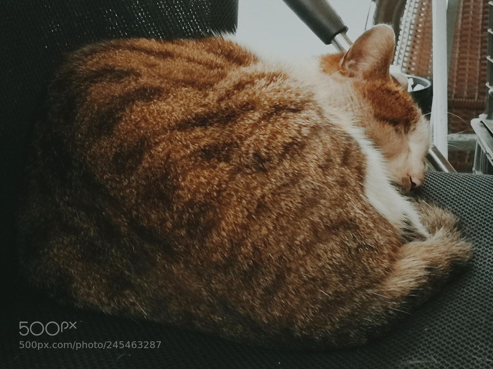 HUAWEI P10 sample photo. 2/9 photography