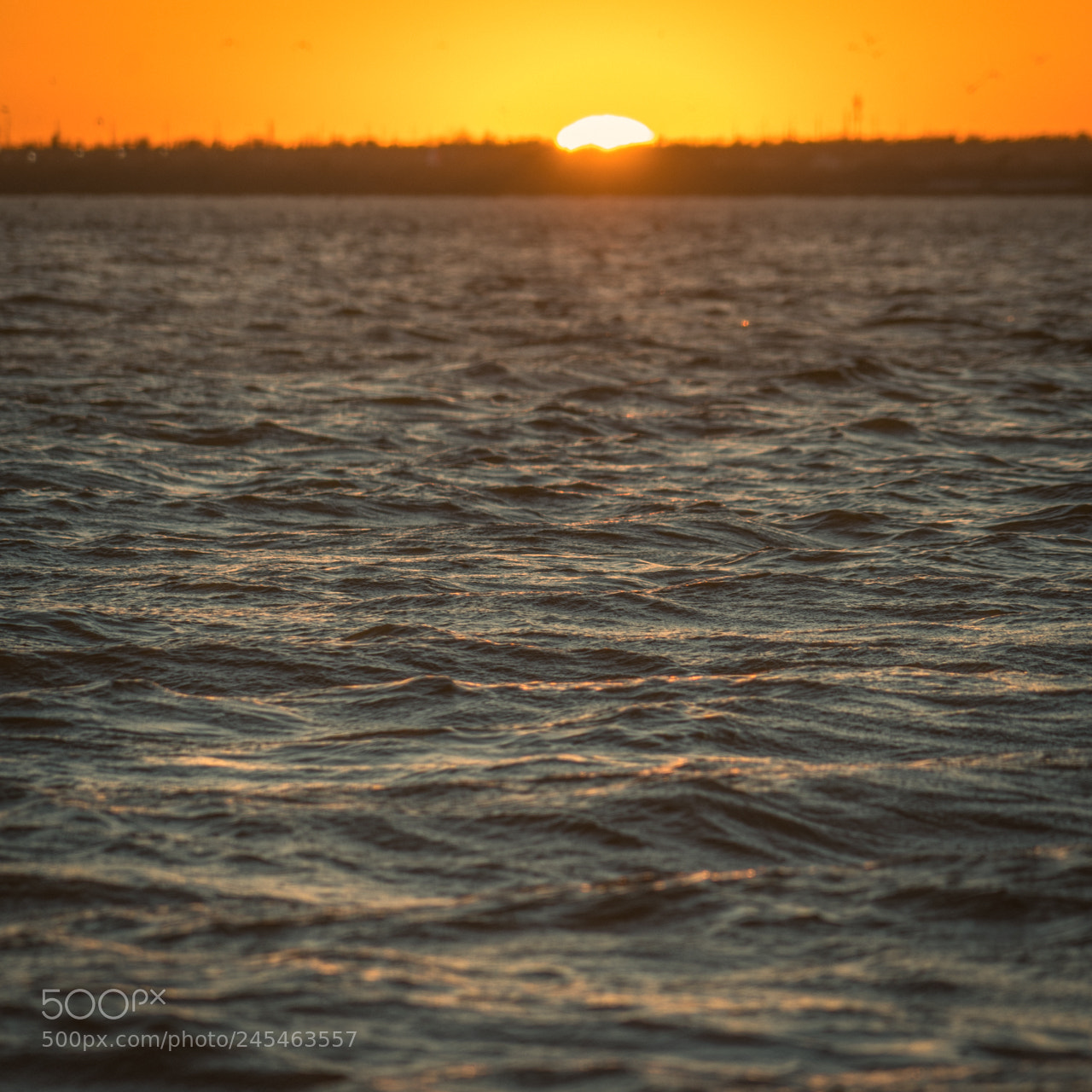 Sony a7R II sample photo. Sunset photography