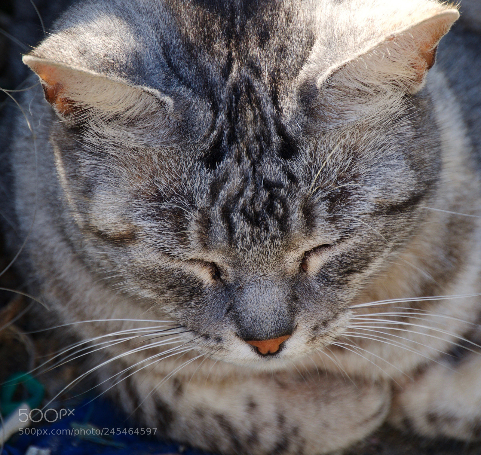 Nikon D300 sample photo. Not now! photography