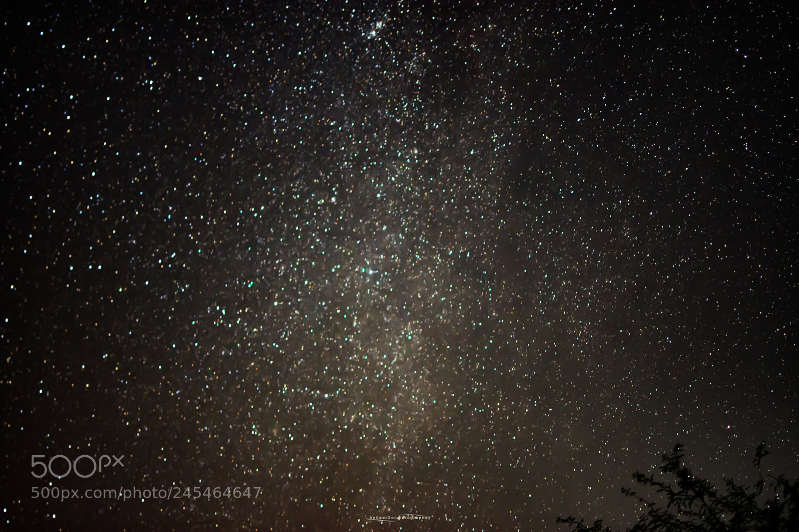 Nikon D7200 sample photo. Milky-way photography