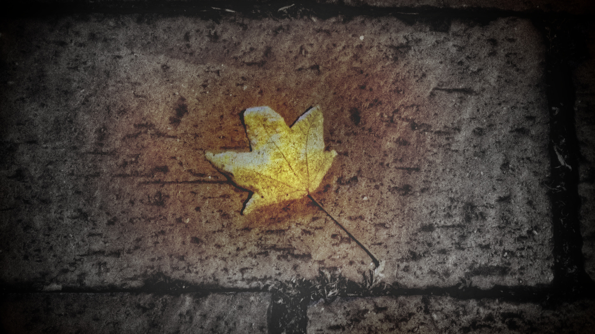 Motorola XT1563 sample photo. One color photography