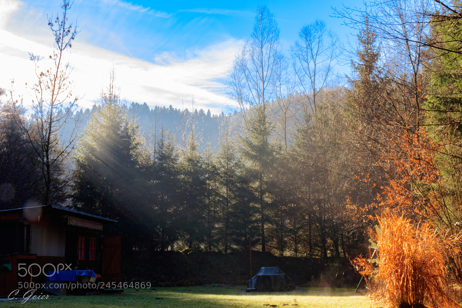 Canon EOS 77D (EOS 9000D / EOS 770D) sample photo. First sunbeams photography