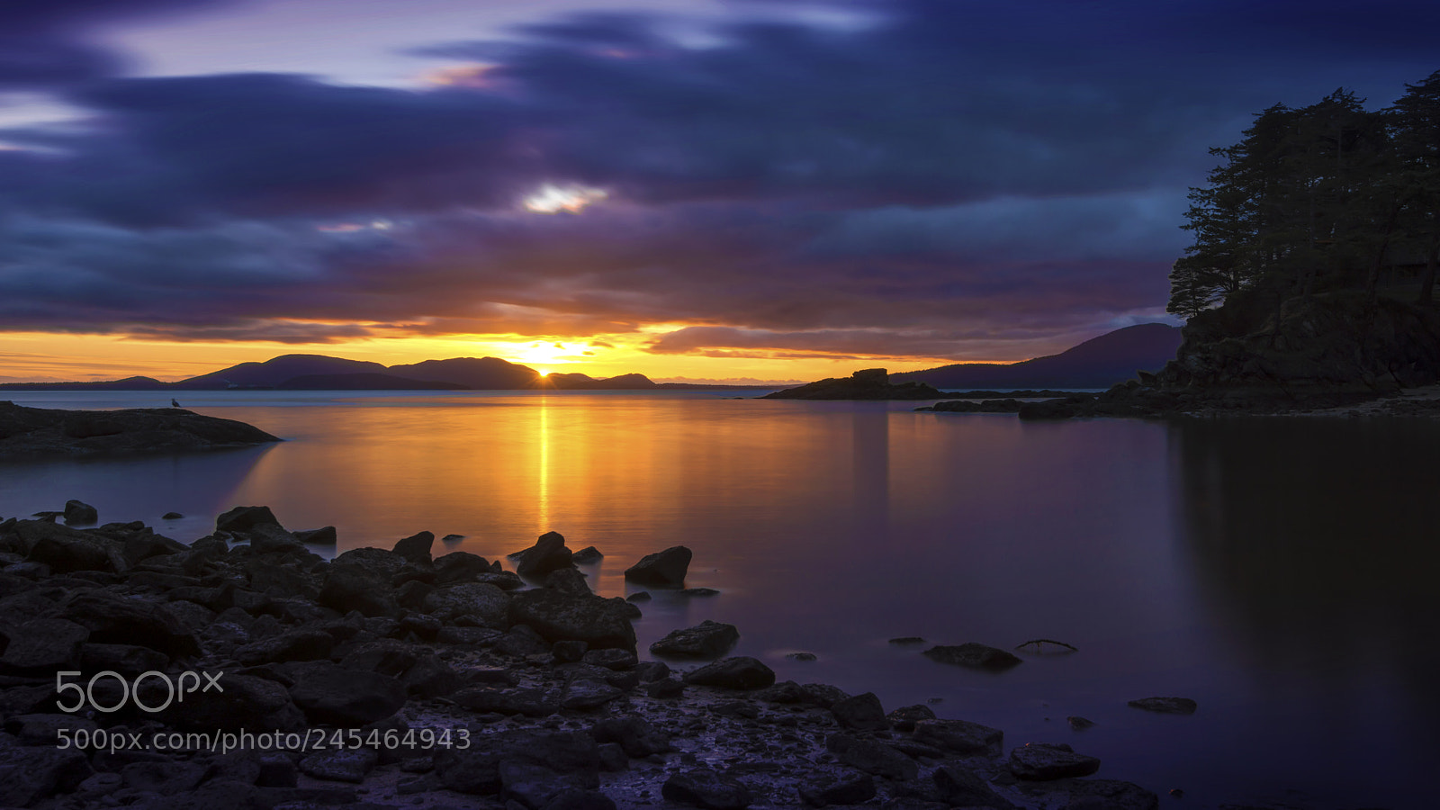 Nikon D800E sample photo. Puget sunset photography
