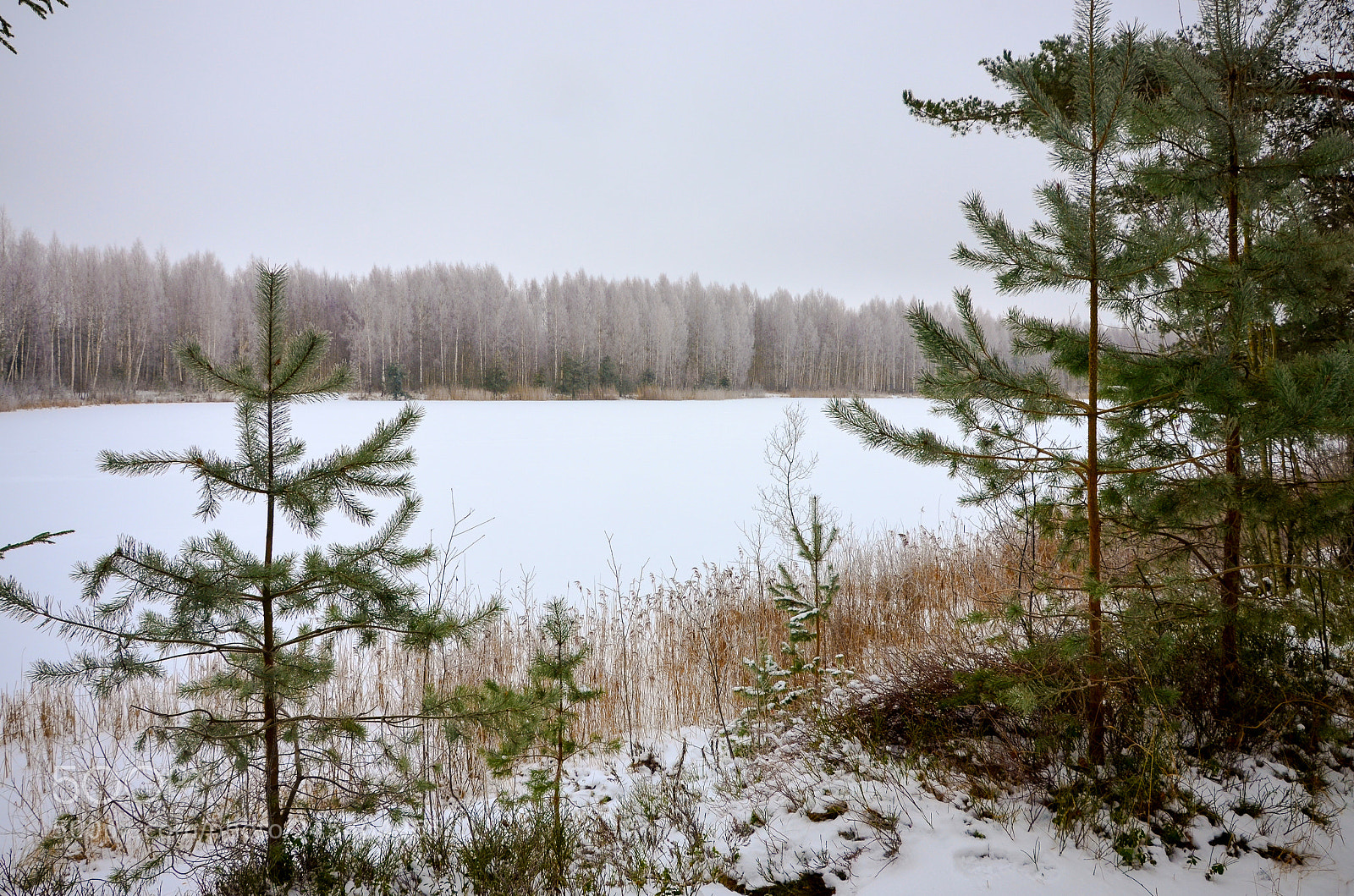 Nikon D5100 sample photo. Frozen quarry photography