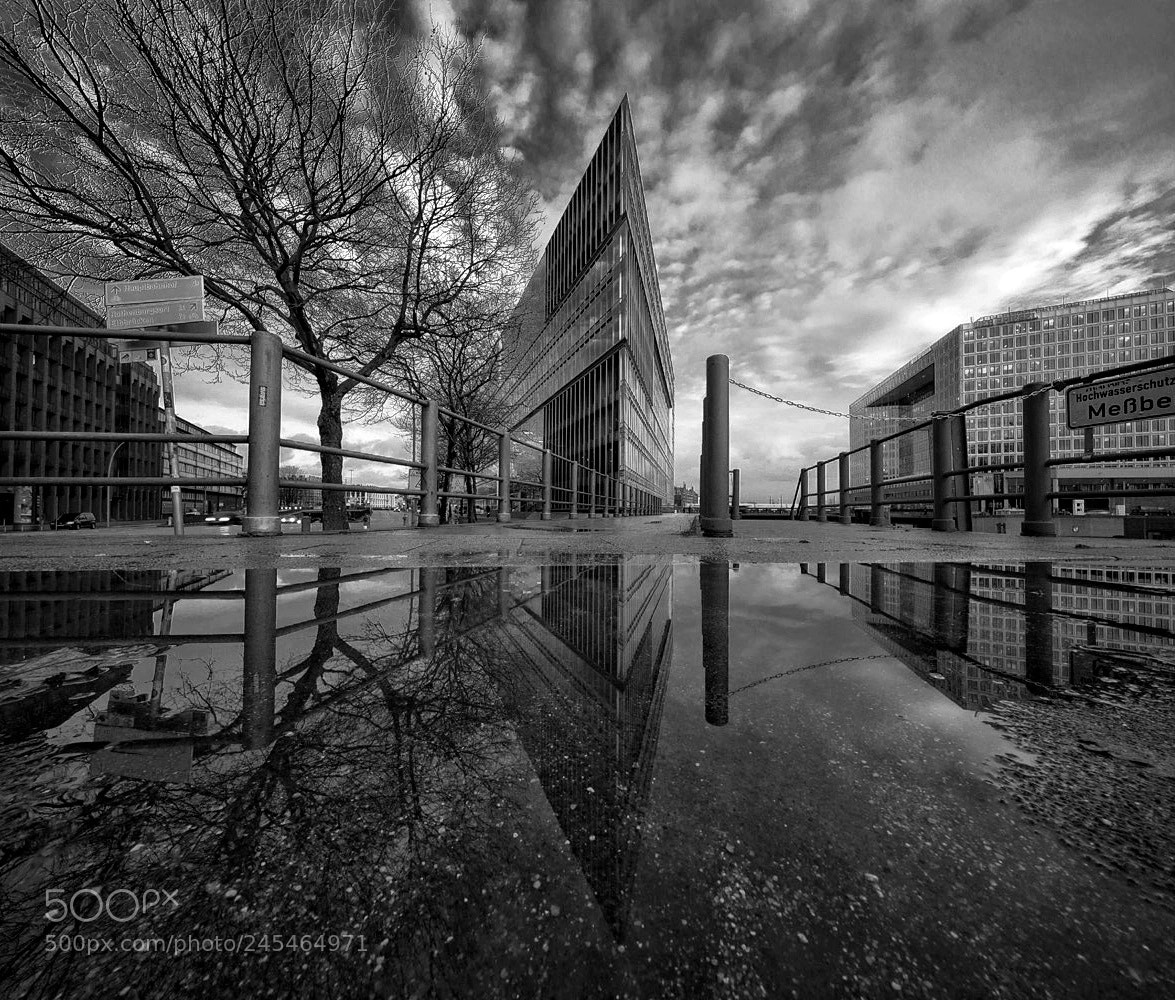 Sony a7R sample photo. The puddle photography