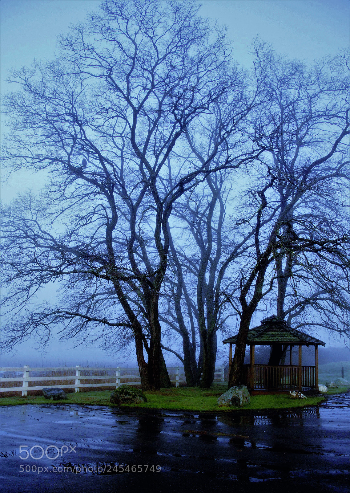 Canon EOS 60D sample photo. Good evening -- 晚安 photography