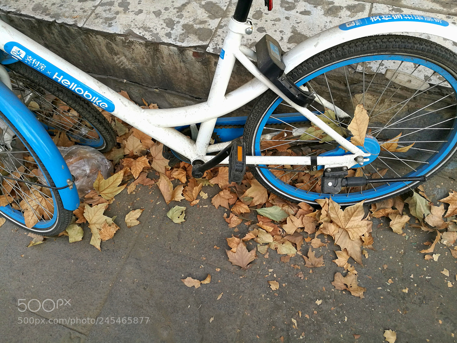 HUAWEI Honor 8 sample photo. Untitled photography