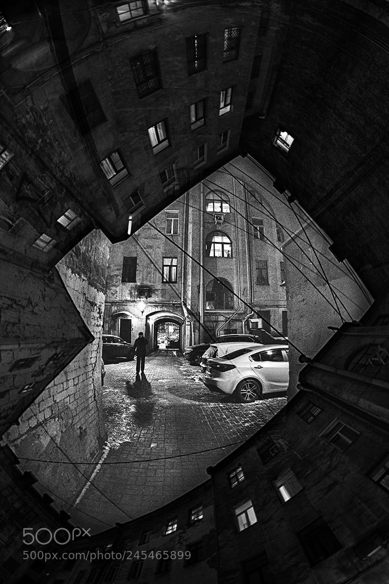 Nikon D700 sample photo. Yards_2 photography