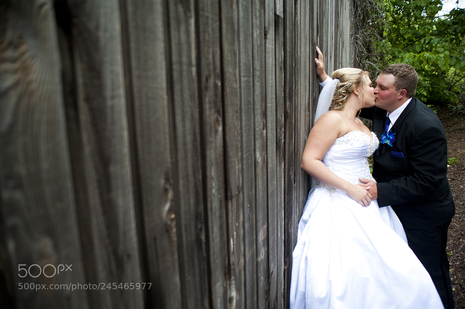 Nikon D700 sample photo. Mike + stephanie photography