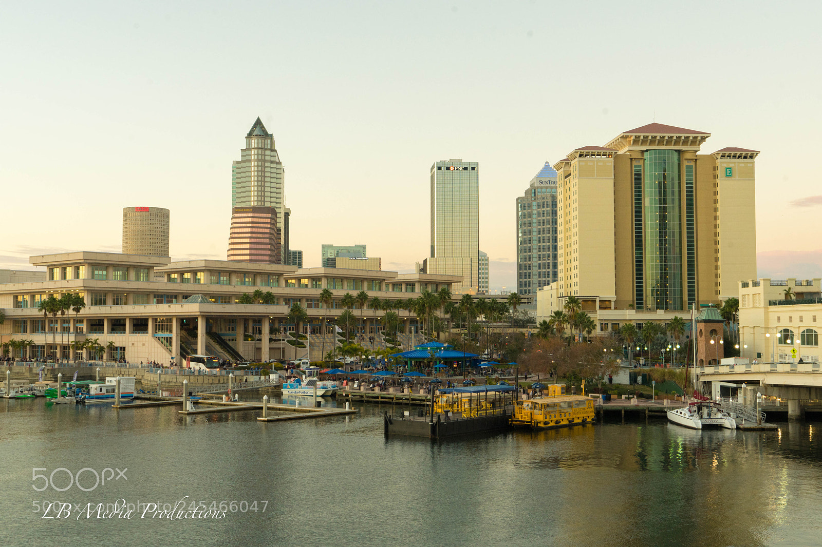 Sony a7 II sample photo. Dsc photography