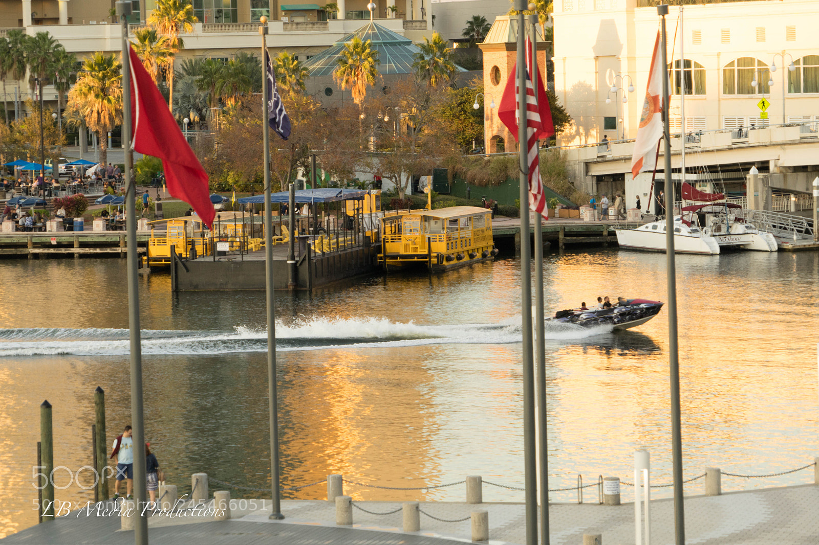 Sony a7 II sample photo. Dsc photography