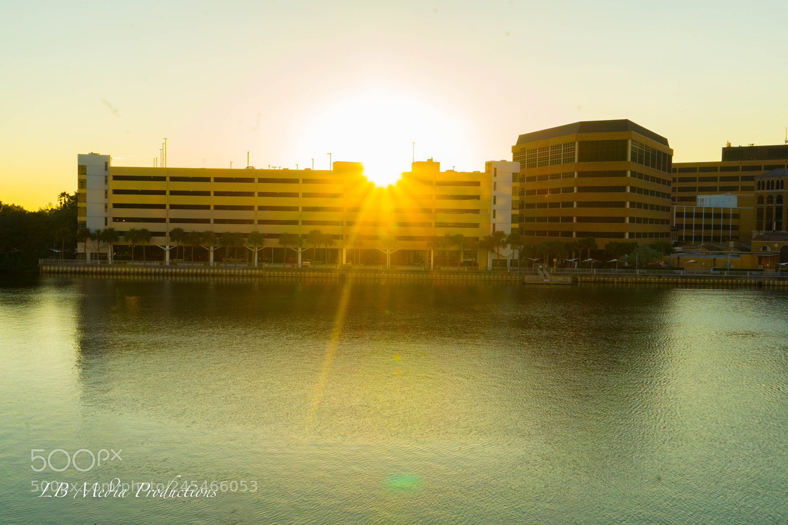 Sony a7 II sample photo. Dsc photography