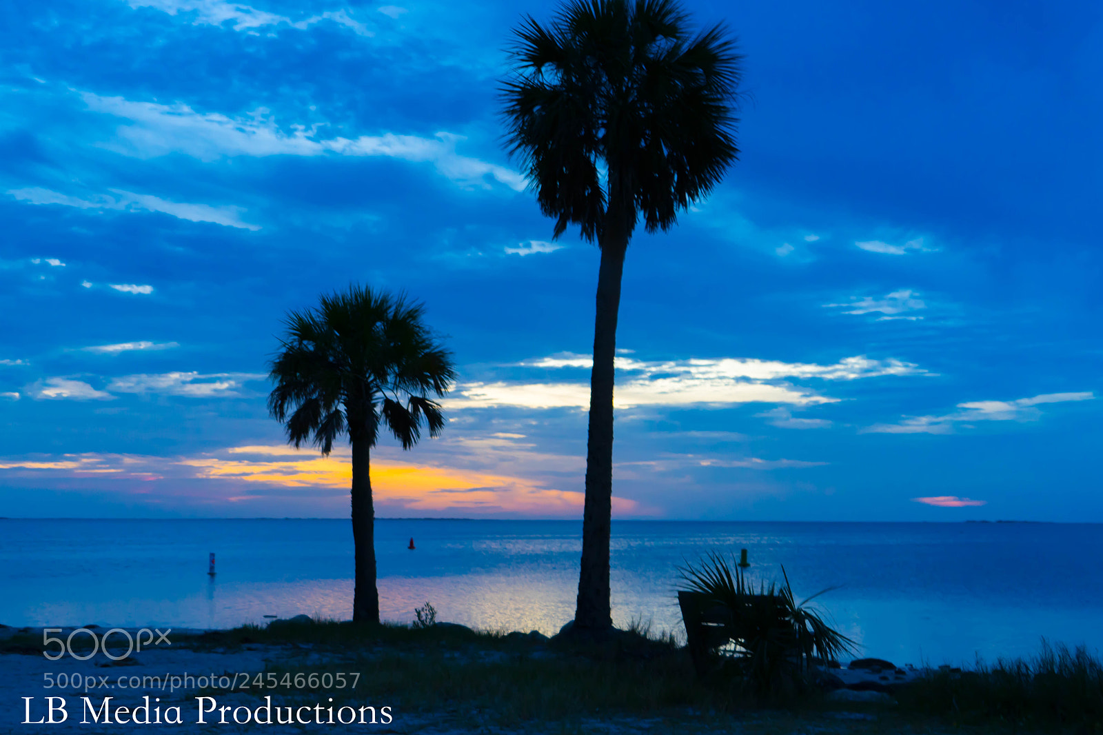 Sony a7 II sample photo. Dsc photography