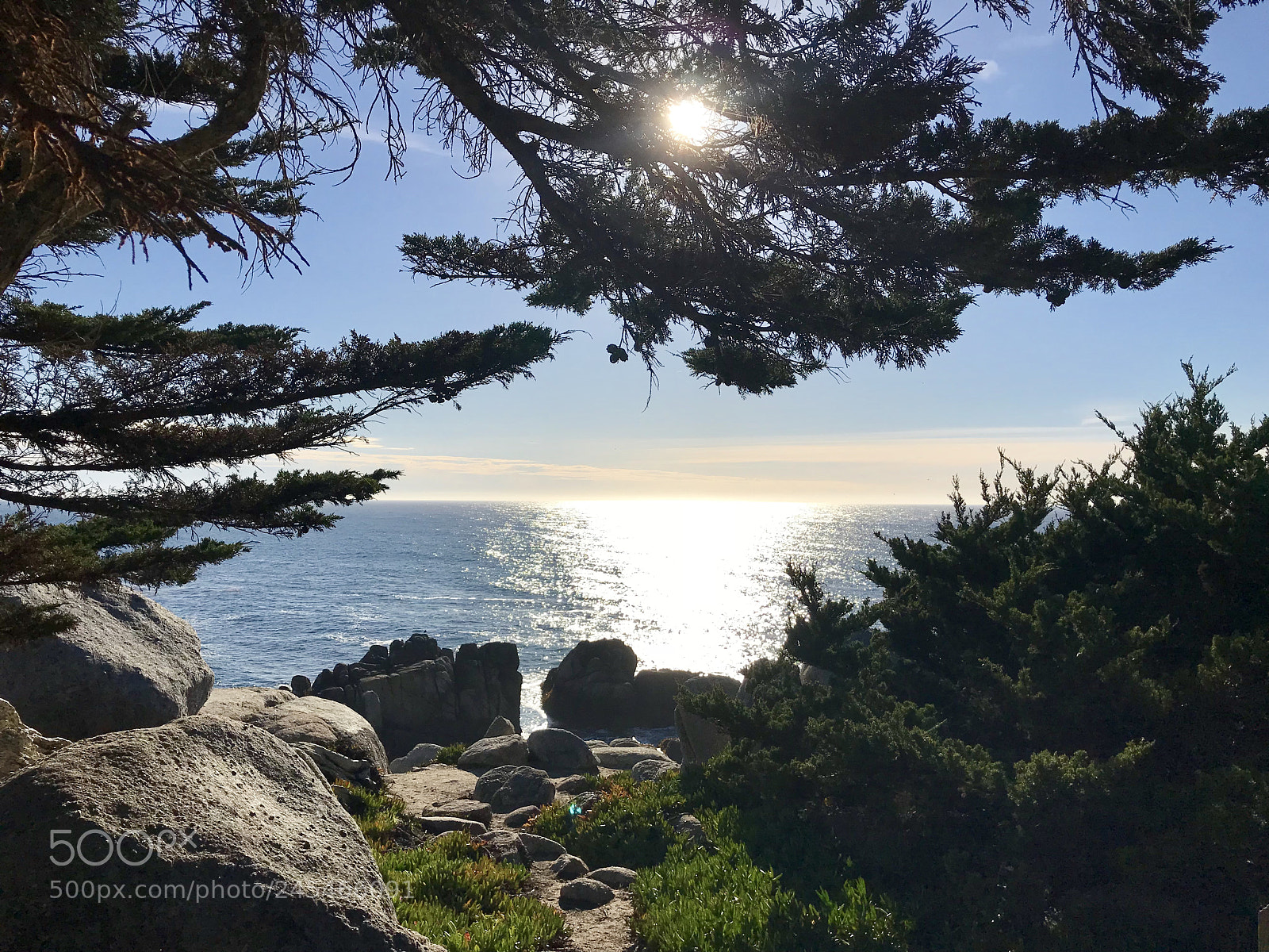 Apple iPhone 7 Plus sample photo. Monterey peninsula sunshine photography