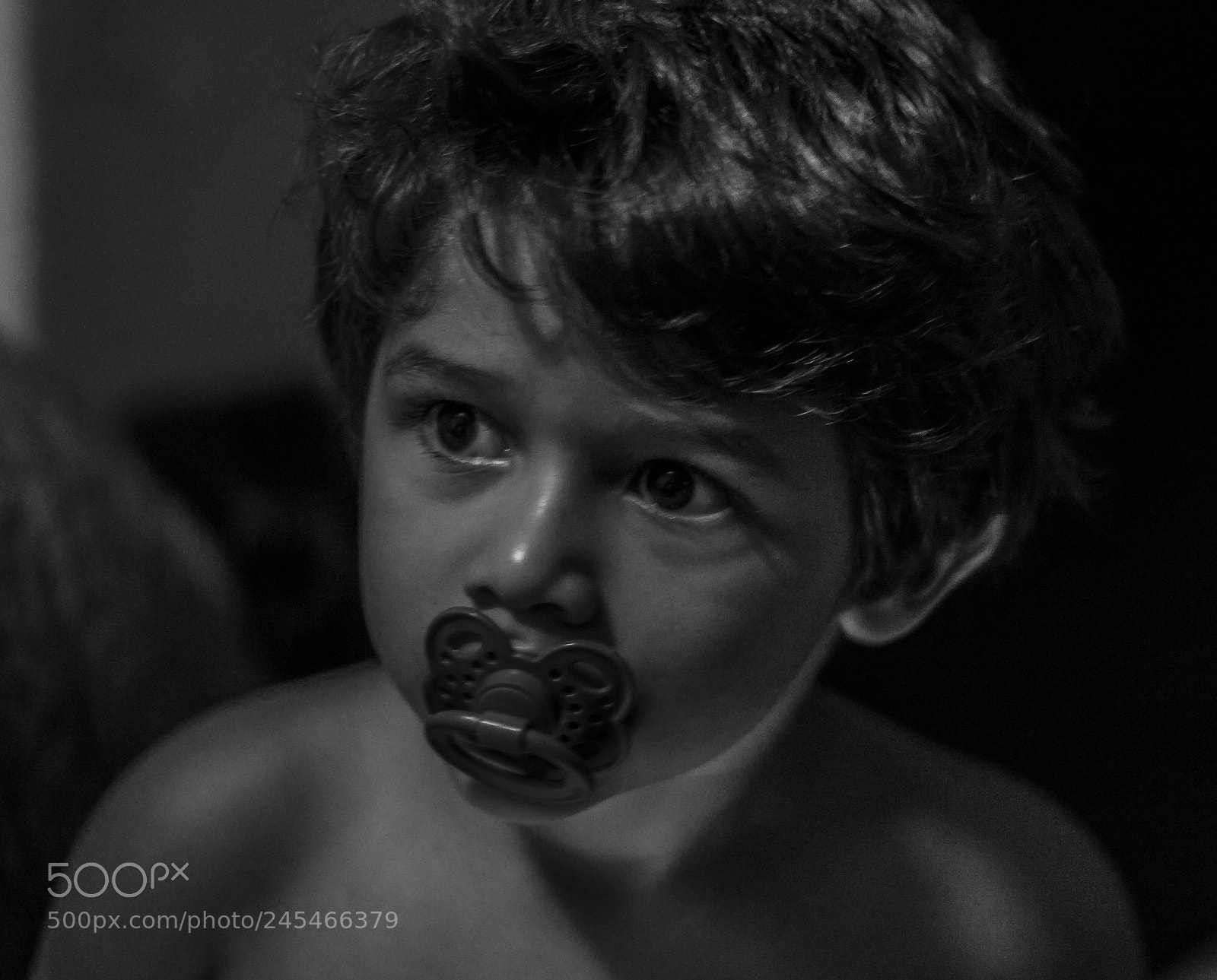 Canon EOS 750D (EOS Rebel T6i / EOS Kiss X8i) sample photo. Davi photography