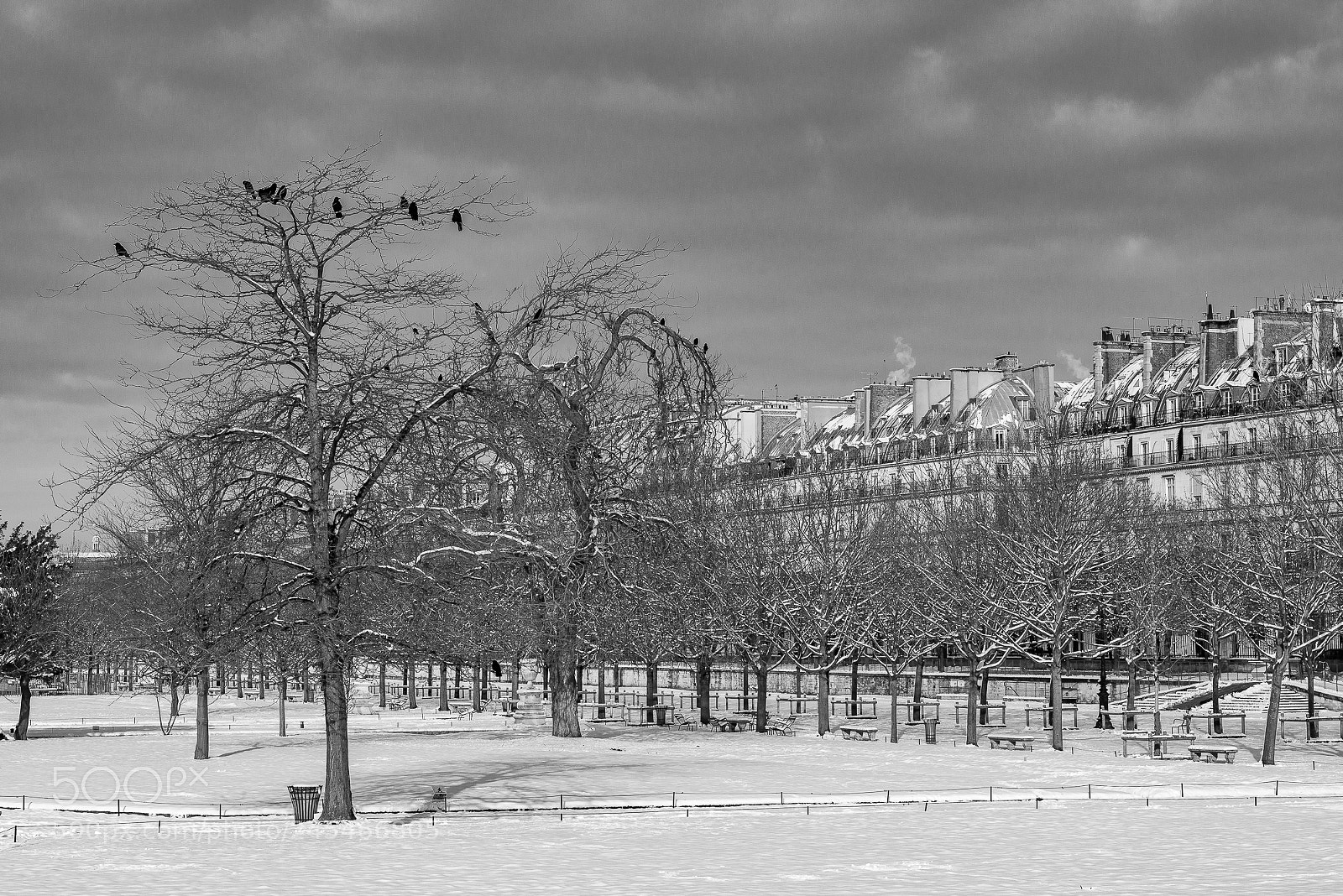 Nikon D800 sample photo. Jardin des tuileries photography