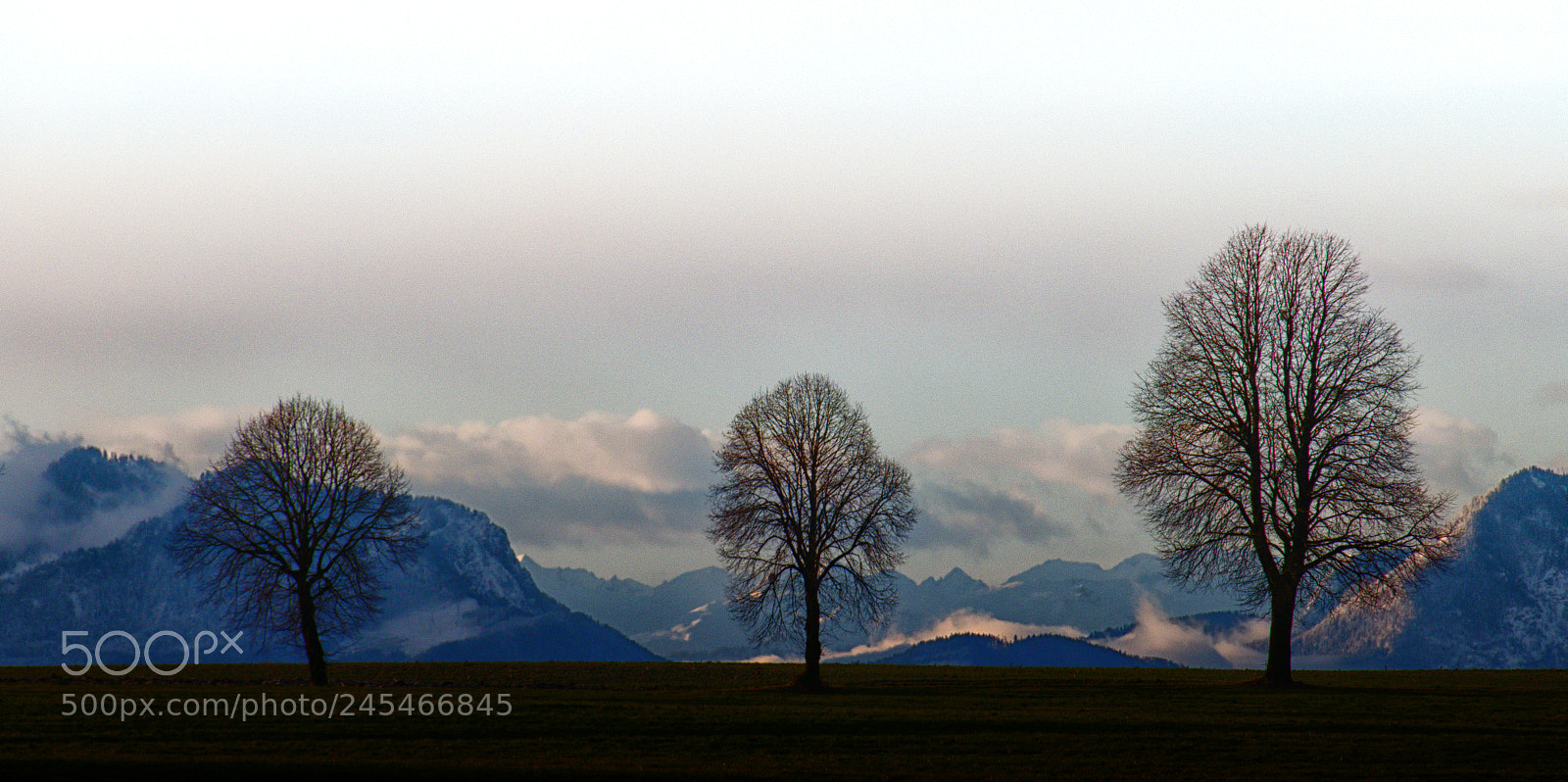 Panasonic Lumix DMC-FZ1000 sample photo. Three trees and mountains photography