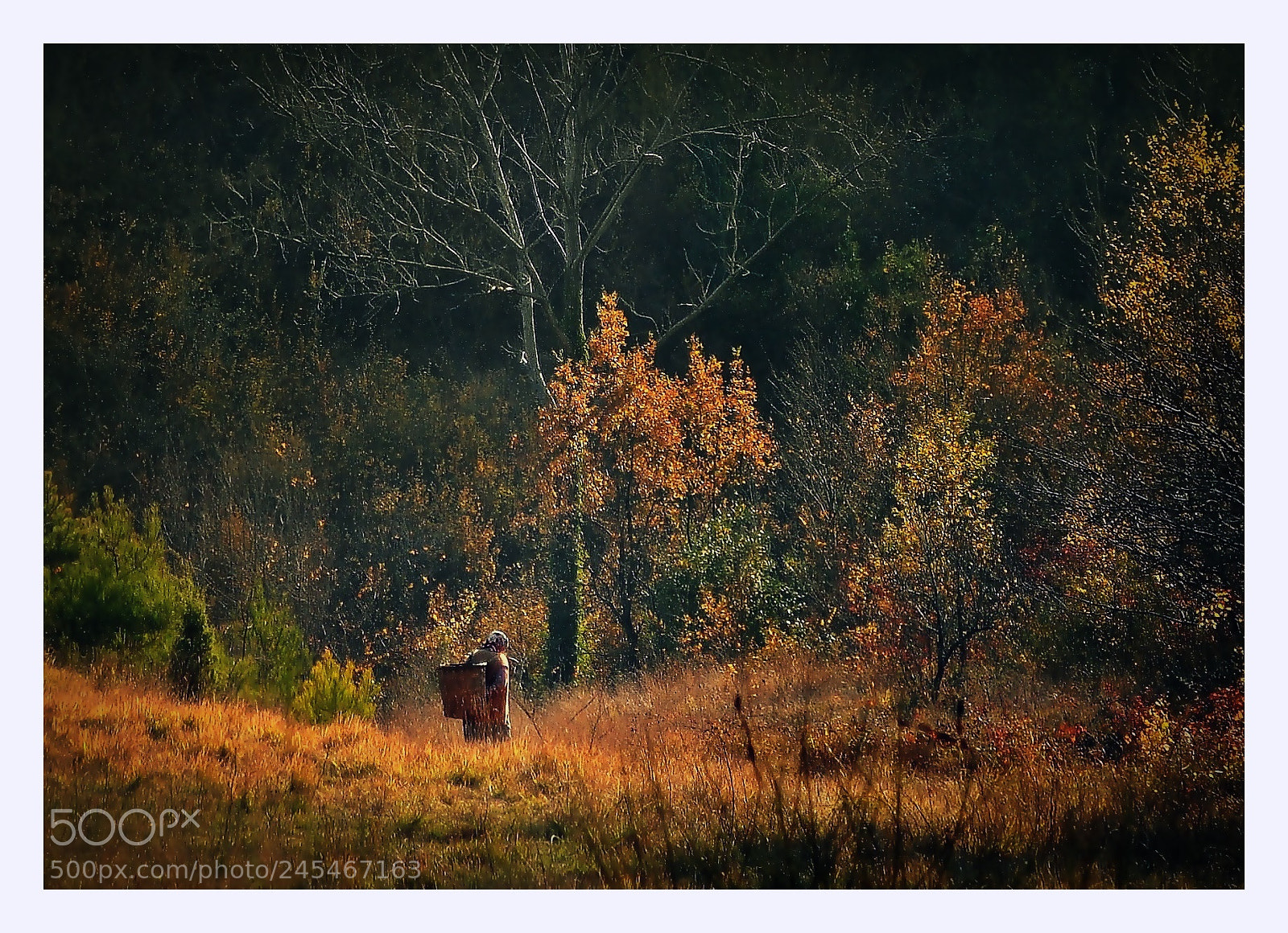 Nikon D5000 sample photo. ** photography